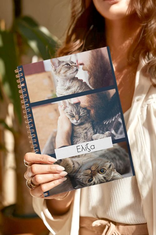 Pet, Τετράδιο