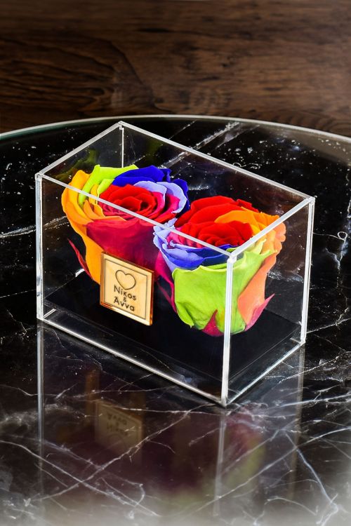 Παντοτινά Τριαντάφυλλα, Forever Roses Rainbow Couple