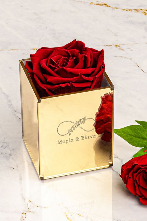 Παντοτινά Τριαντάφυλλα, Forever Red Rose Mirror - Sisters