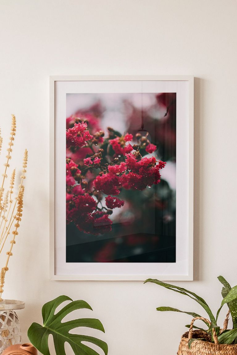 poster-frame-white-qqlo_-01003.jpg