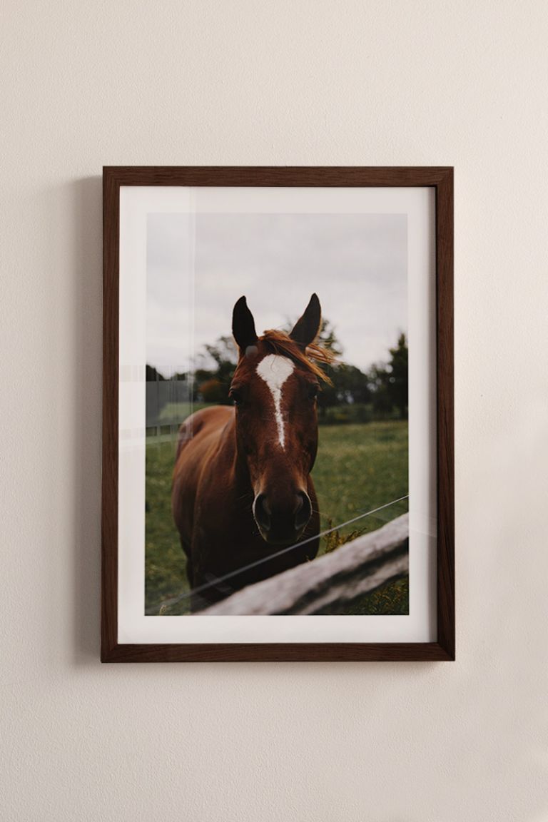 poster-kadro-kfi_-01053.jpg