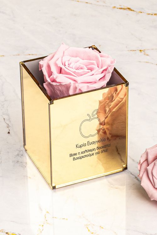 Παντοτινά Τριαντάφυλλα, Forever Pink Rose Mirror - Apple