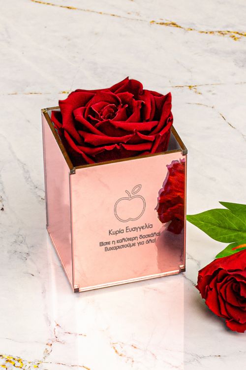 Παντοτινά Τριαντάφυλλα, Forever Rose Pink Gold - Teacher Apple