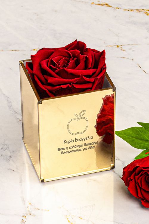 Παντοτινά Τριαντάφυλλα, Forever Red Rose Mirror - Apple