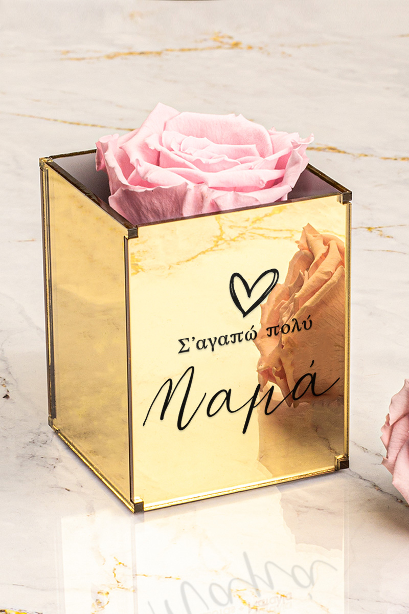5-set-fastbook-photobook-album-100-logoi-agapis-mother-kai-roz-forever-triantaffilo-e-0282
