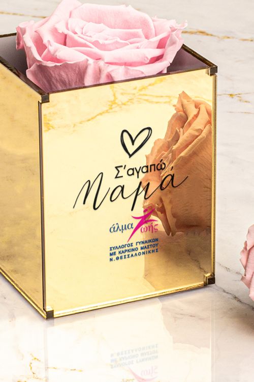 Άλμα Ζωής – Τριαντάφυλλο Ροζ, Δώρο για Μητέρα