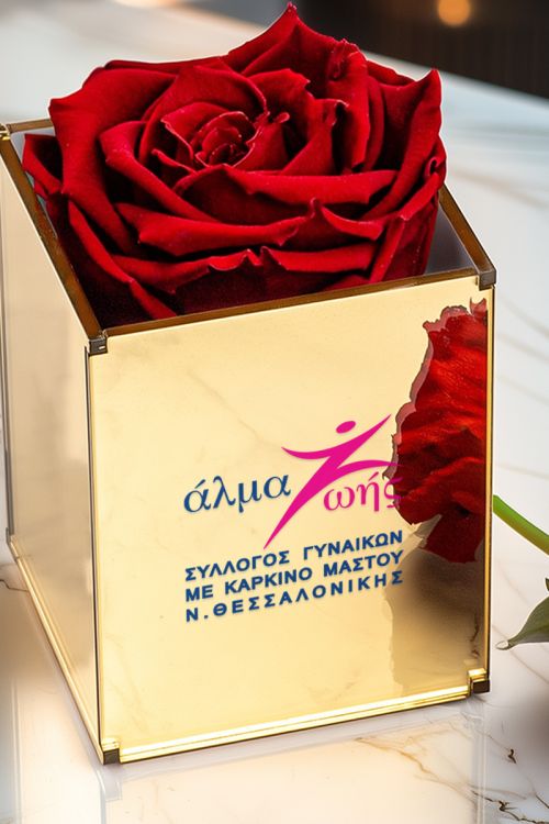 Άλμα Ζωής - Forever Rose Κόκκινο σε Κουτί Golden Mirror