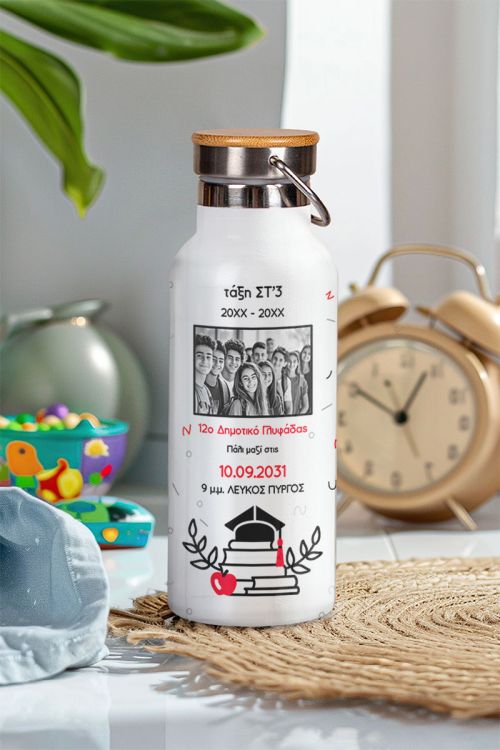 Prosopopoiimeno Thermos me Fotografia, Scholiko Anamnistiko