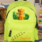 myikona-boys-backpacks-green-d-302