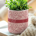 Κασπώ Γλαστράκι με Όνομα & Αφιέρωση, Δώρο για τη Γιαγιά