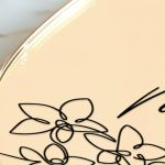 gouri-stagona-xriso-i-0009-1