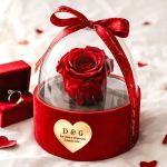 1-premium-forever-rose-se-tholo-kokkino-k_0013