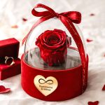 1-premium-forever-rose-se-tholo-kokkino-f_0005
