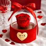1-premium-forever-rose-se-tholo-kokkino-j_0006