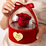 1-premium-forever-rose-se-tholo-kokkino-m_0003