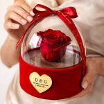 1-premium-forever-rose-se-tholo-kokkino-k_0013