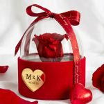 1-premium-forever-rose-se-tholo-kokkino-j_0006