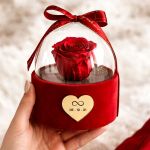 1-premium-forever-rose-se-tholo-kokkino-m_0003
