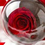 1-premium-forever-rose-se-tholo-kokkino-f_0005