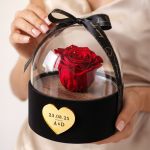 Forever Rose Κόκκινο σε Θήκη με Θόλο, Δώρο για Ερωτευμένους