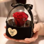 1-premium-forever-rose-se-tholo-mavro-e-0004