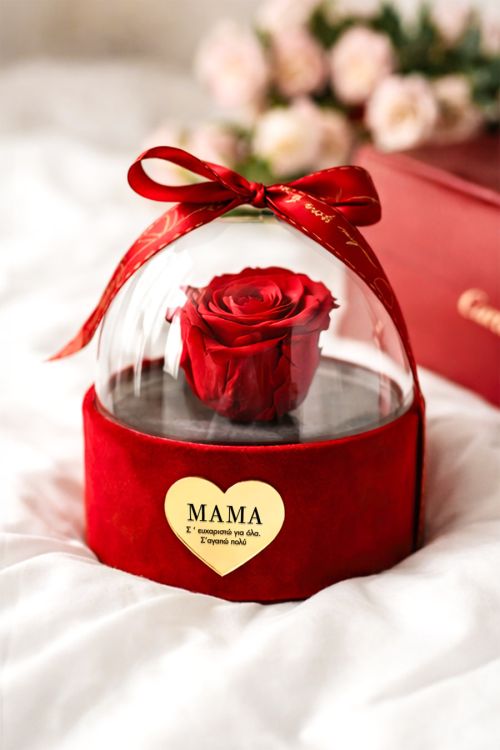 Forever Rose σε Θήκη με Θόλο, Πρωτότυπο Δώρο για τη Μητέρα