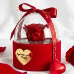 1-premium-forever-rose-se-tholo-kokkino-0032-f