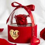 1-premium-forever-rose-se-tholo-kokkino-0036-p