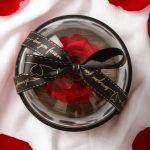 1-premium-forever-rose-se-tholo-mavro-0045-p