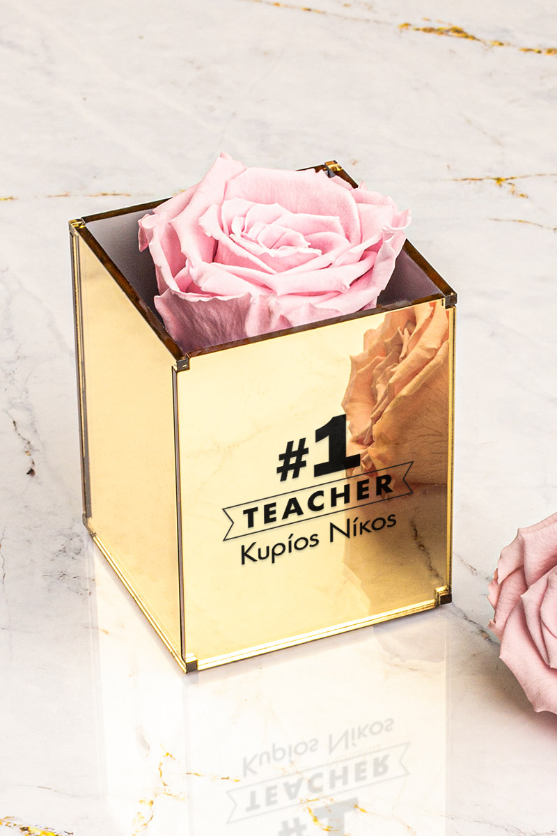 myikona-forever-roses-pink-teacher-a-0012-1.jpg
