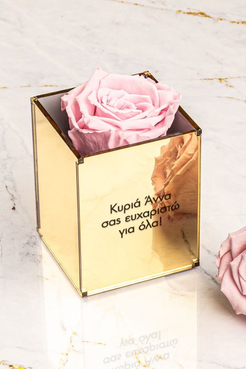 Ροζ Αιώνιο Τριαντάφυλλο σε Θήκη, Ενθύμιο Αγάπης για Δασκάλα