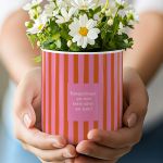 myikona-kaspo-glastraki-teacher-a-0038-1.jpg