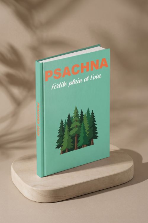 Travel Photobook, Ψαχνά
