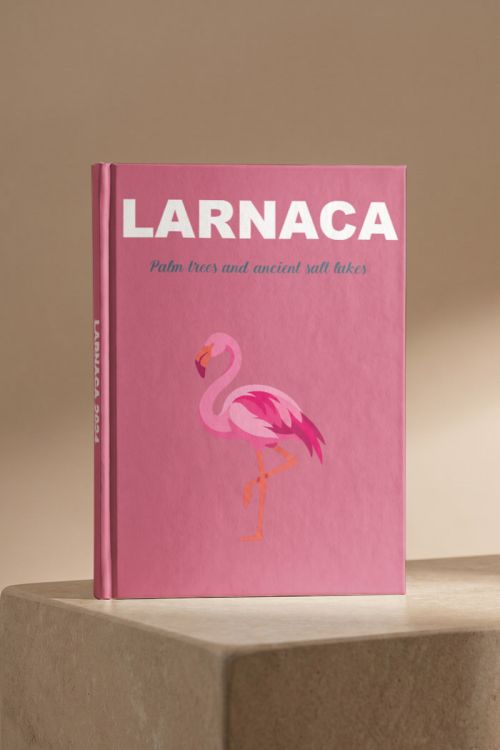 Photobook Διακοπών, Λάρνακα