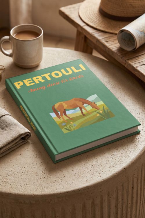 Photobook Περτούλι