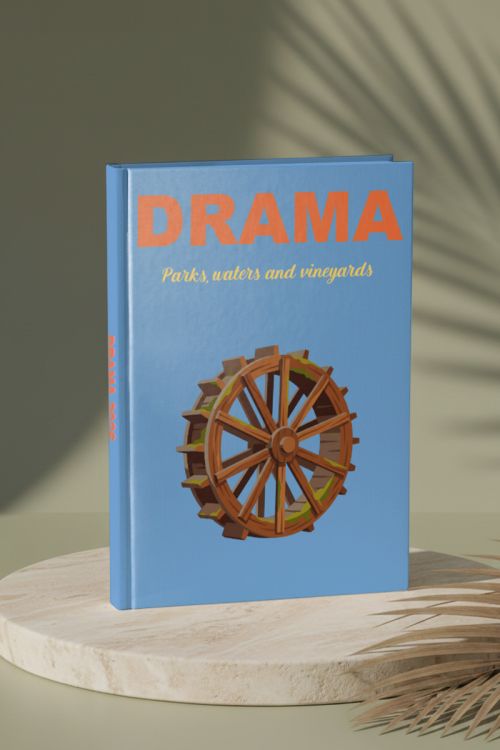 Photobook Διακοπών, Drama