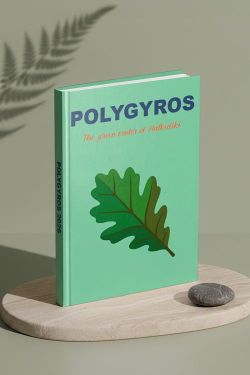 Photobook Ταξιδιού, Πολύγυρος