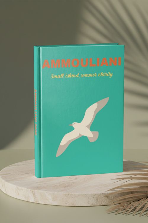Photobook, Φωτογραφικό Άλμπουμ Αμμουλιανή