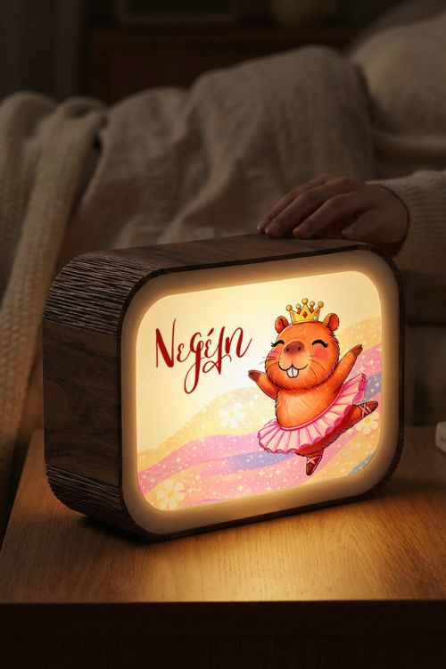Προσωποποιημένο Lightbox με Όνομα & Ζωάκι Μπαλαρίνα