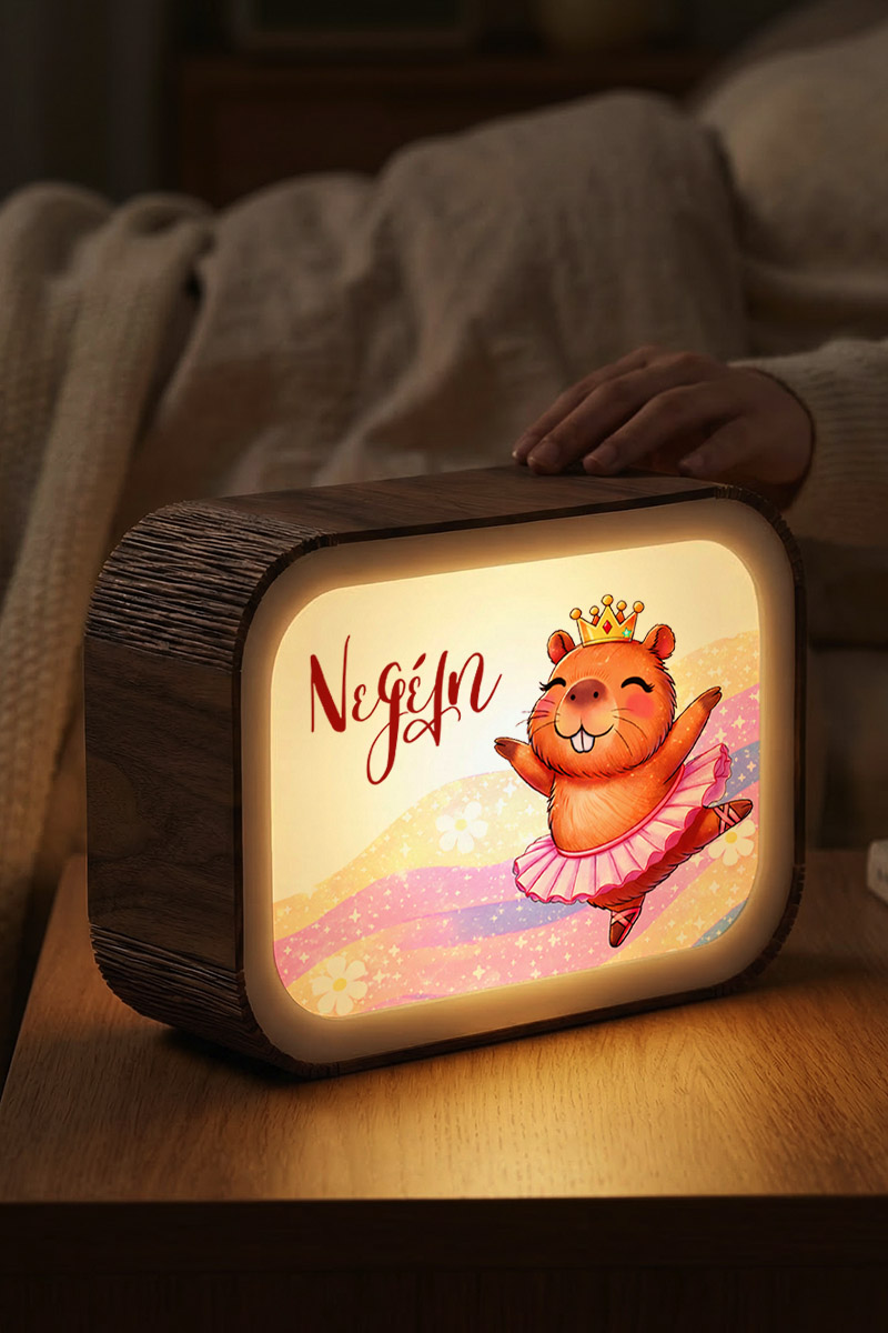 premium-lightbox-fotistiko-me-ektiposi-n-0050-1.jpg