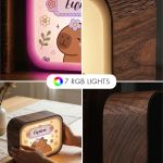 premium-lightbox-fotistiko-me-ektiposi-xe-0062-1.jpg