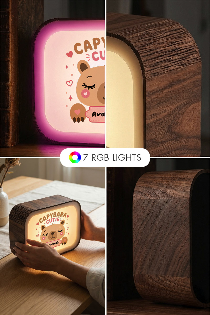 premium-lightbox-fotistiko-me-ektiposi-xa-0064-2.jpg