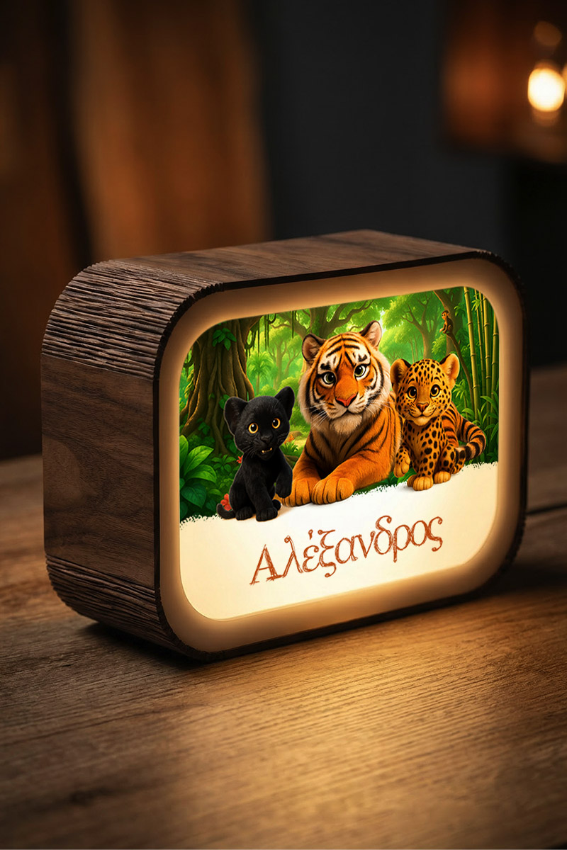 premium-lightbox-fotistiko-me-ektiposi-xc-0014-5.jpg