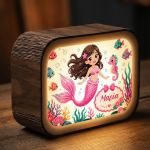 premium-lightbox-fotistiko-me-ektiposi-xi-0057-1.jpg