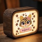 premium-lightbox-fotistiko-me-ektiposi-p-0063-1.jpg
