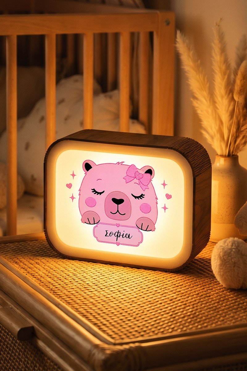 premium-lightbox-fotistiko-me-ektiposi-xd-0065-1.jpg