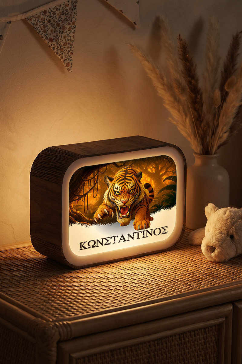 premium-lightbox-fotistiko-me-ektiposi-xe-0010-1.jpg