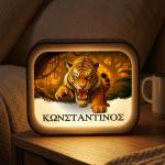 premium-lightbox-fotistiko-me-ektiposi-xe-0010-1.jpg