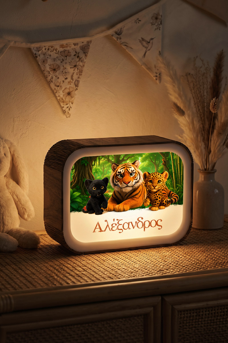 premium-lightbox-fotistiko-me-ektiposi-xg-0014-1.jpg