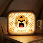 premium-lightbox-fotistiko-me-ektiposi-b-0021-1.jpg
